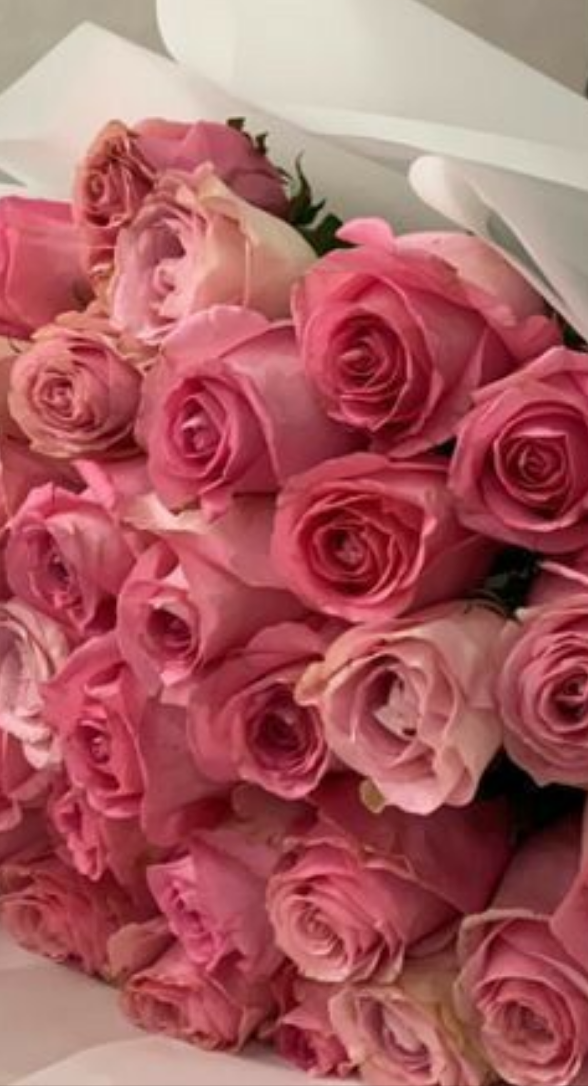 Lover's Contrast