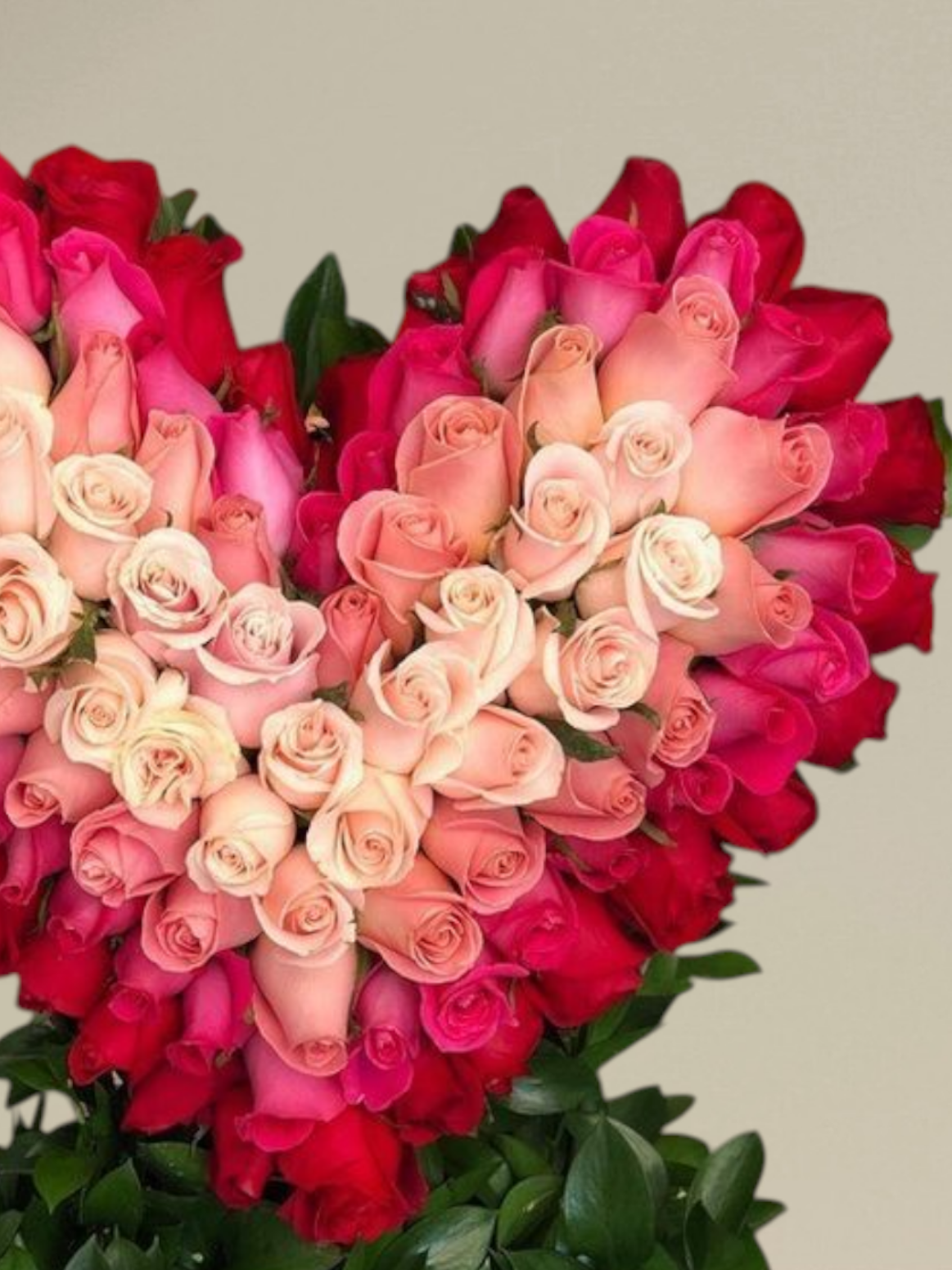 Rosy Devotion