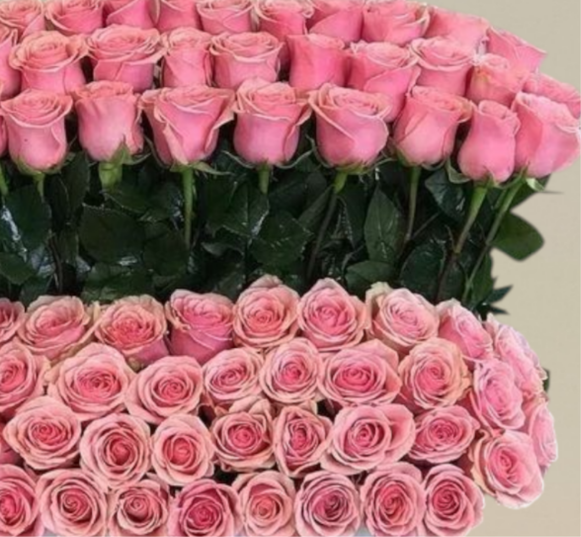 Lux Of Love