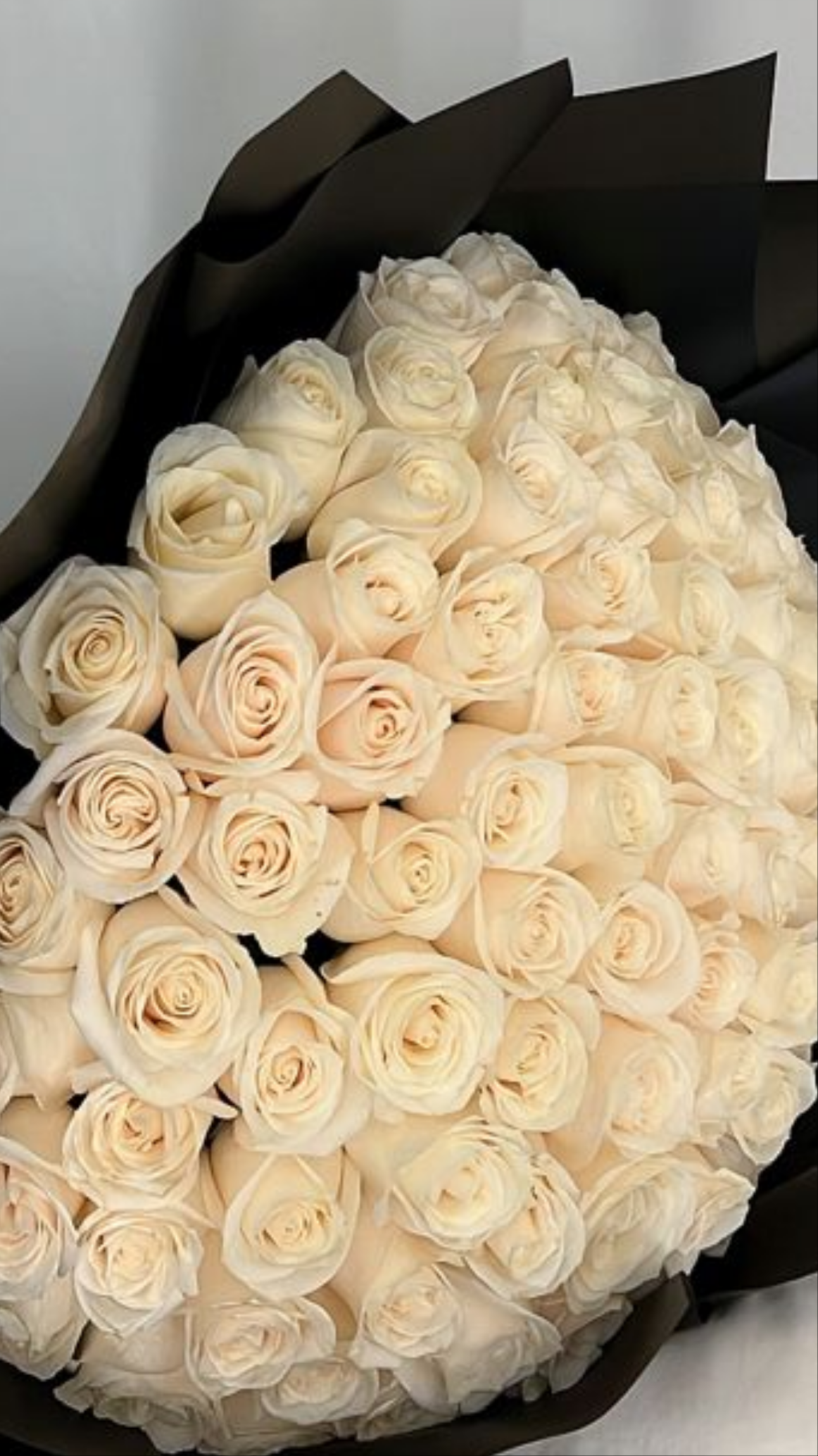 Rosy Vow